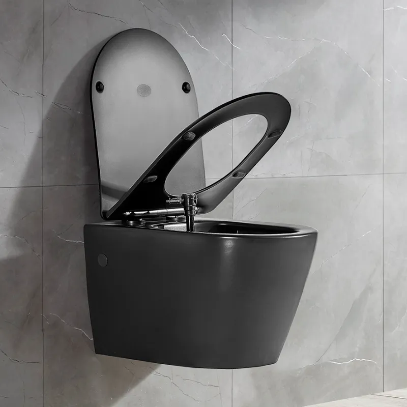 Toalettpakke: Badnor Serena MATT SORT / Grohe Rapid SL m/ hvit 